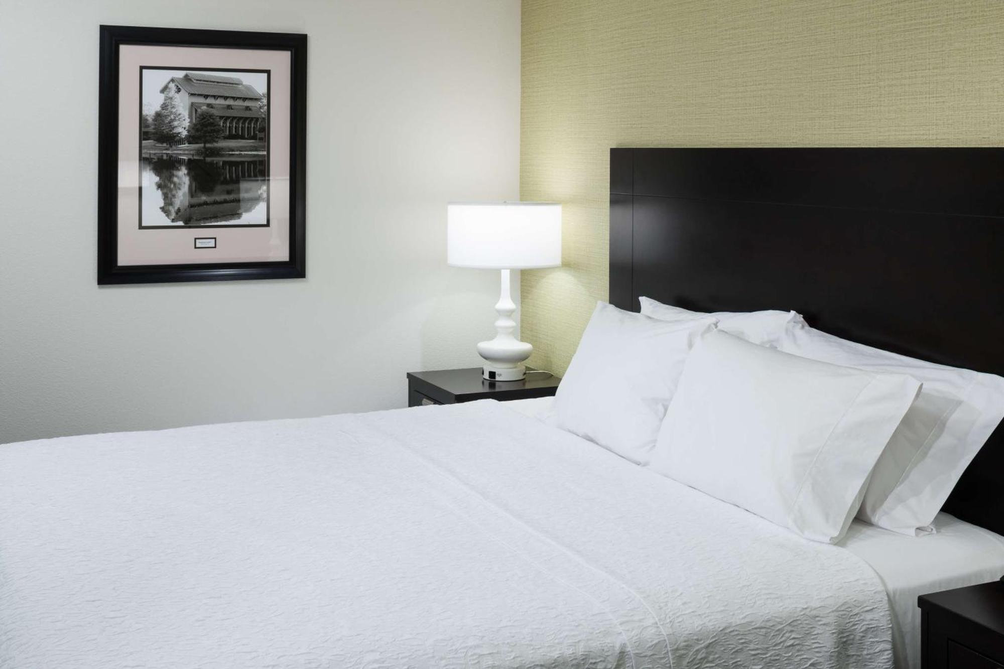 Hampton Inn & Suites Gainesville Downtown Eksteriør bilde